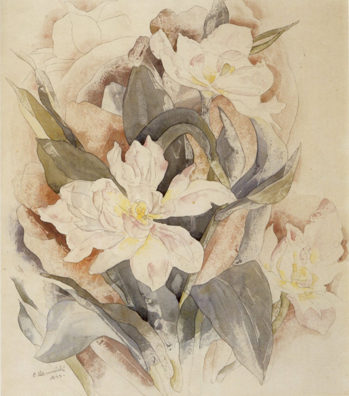 Blumenstudie von Charles Demuth