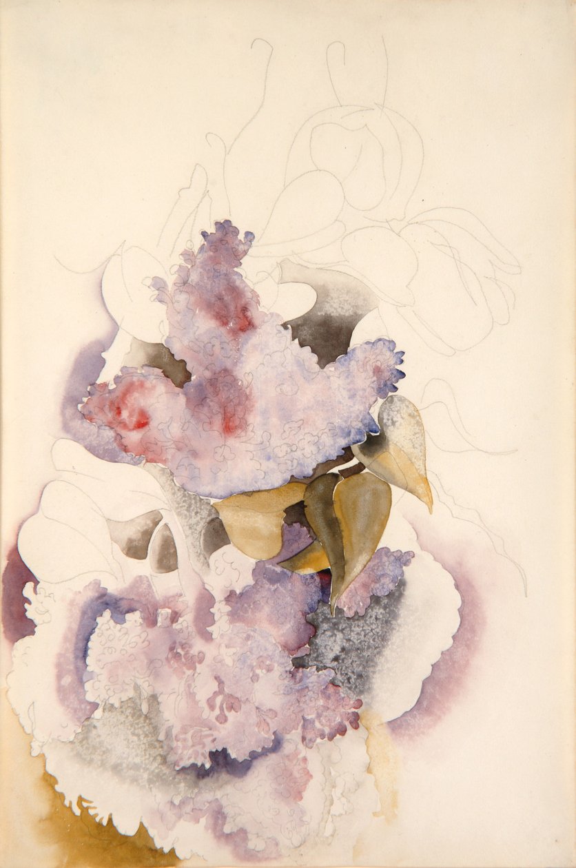 Flieder von Charles Demuth