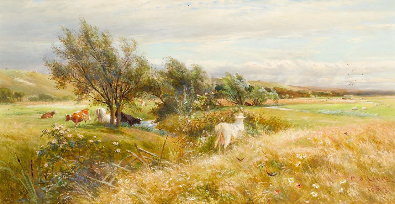 Rinder auf einer Wasserwiese von Charles James Lewis