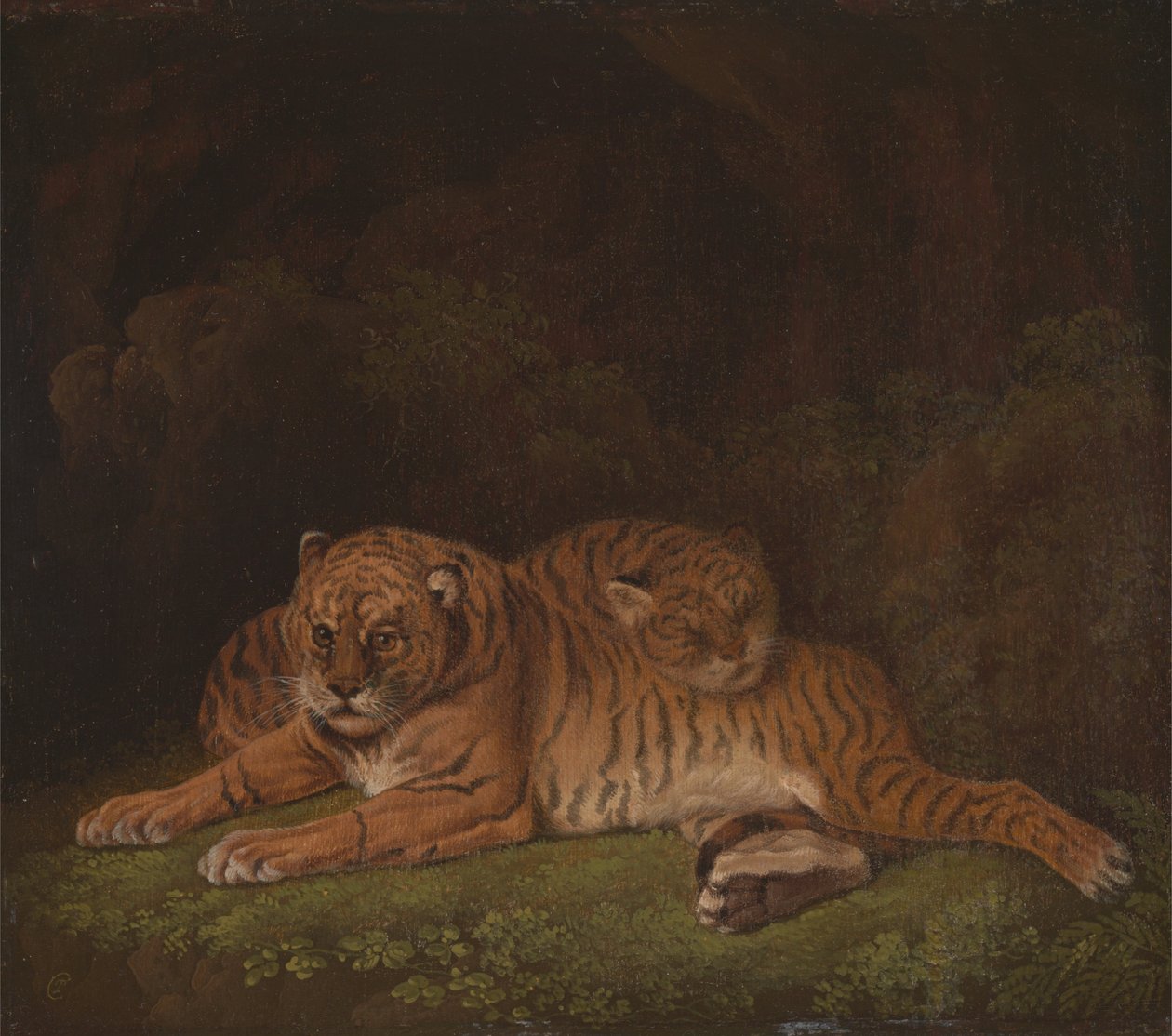 Tiger von Charles Towne