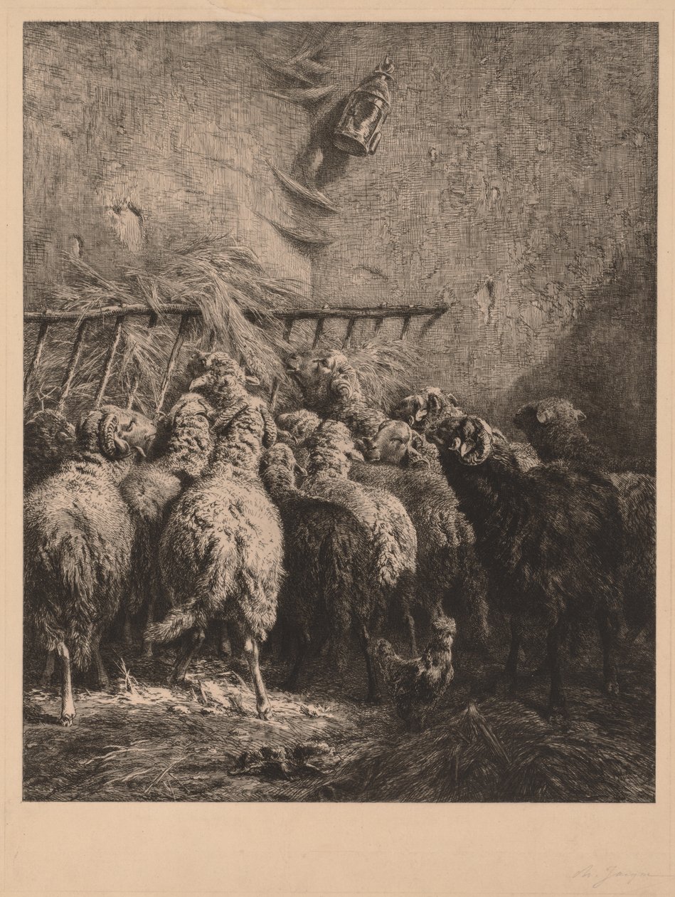 Innenansicht eines Schafgeheges von Charles Emile Jacque