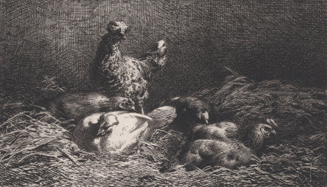 Hühner, 1867 von Charles Emile Jacque