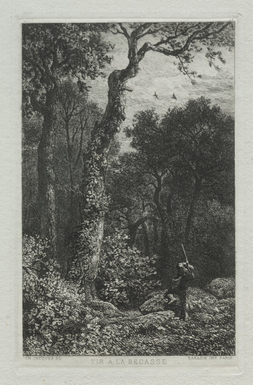 Schießen auf den Waldschnepfen von Charles Emile Jacque