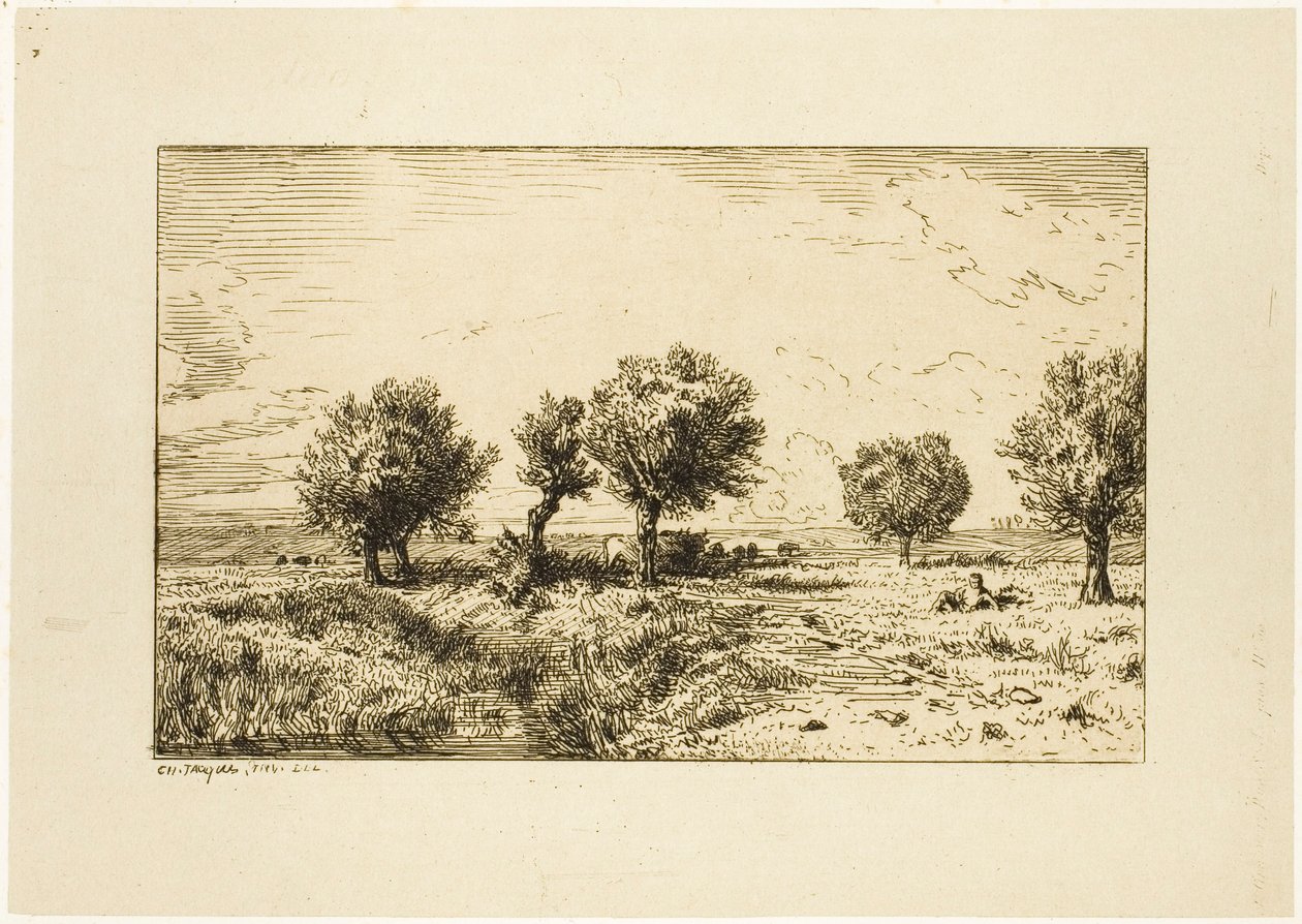 Weiden in einer Landschaft von Charles Emile Jacque