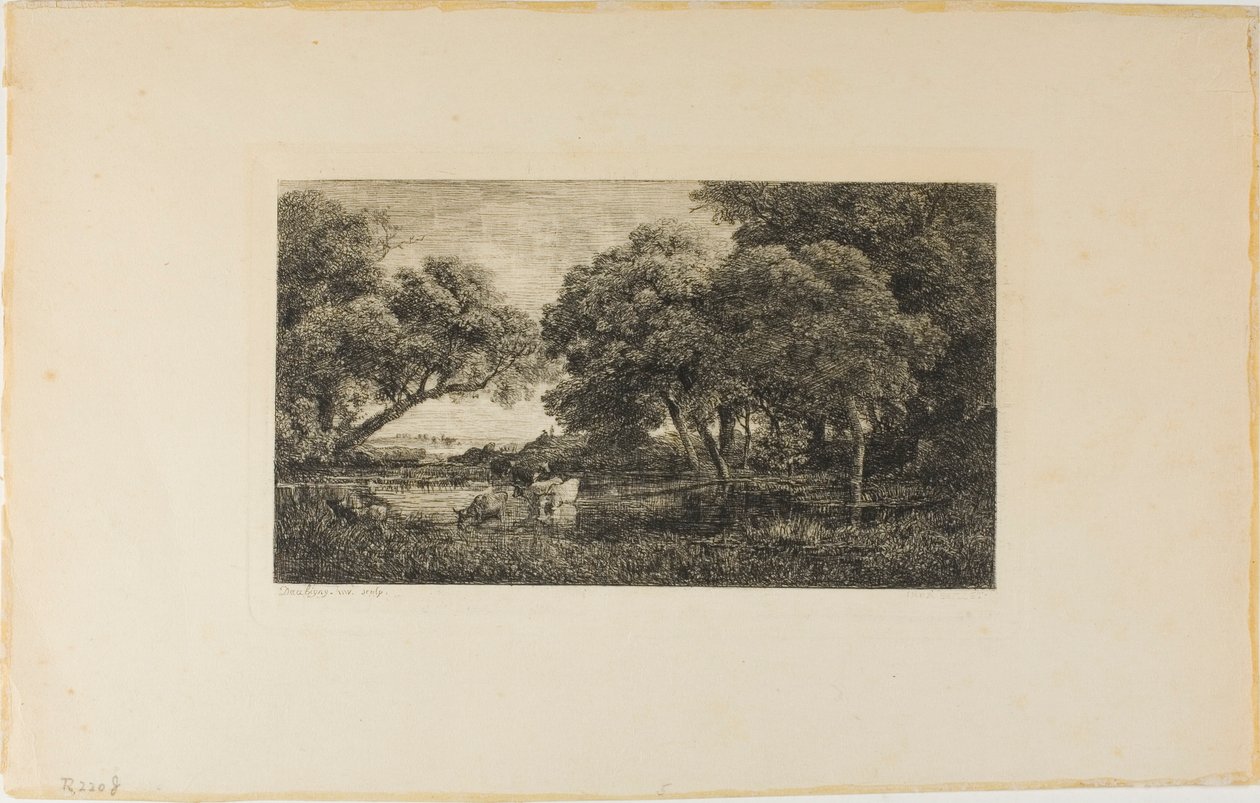 Rinder an einem Teich von Charles Francois Daubigny