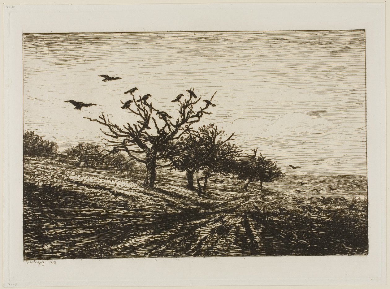 Krähen in einem Baum von Charles Francois Daubigny