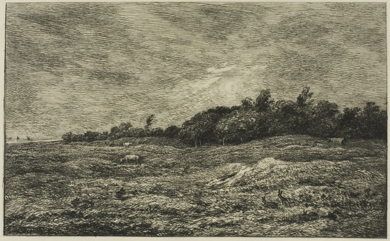 Le Pré des Graves in Villerville (Calvados) von Charles Francois Daubigny