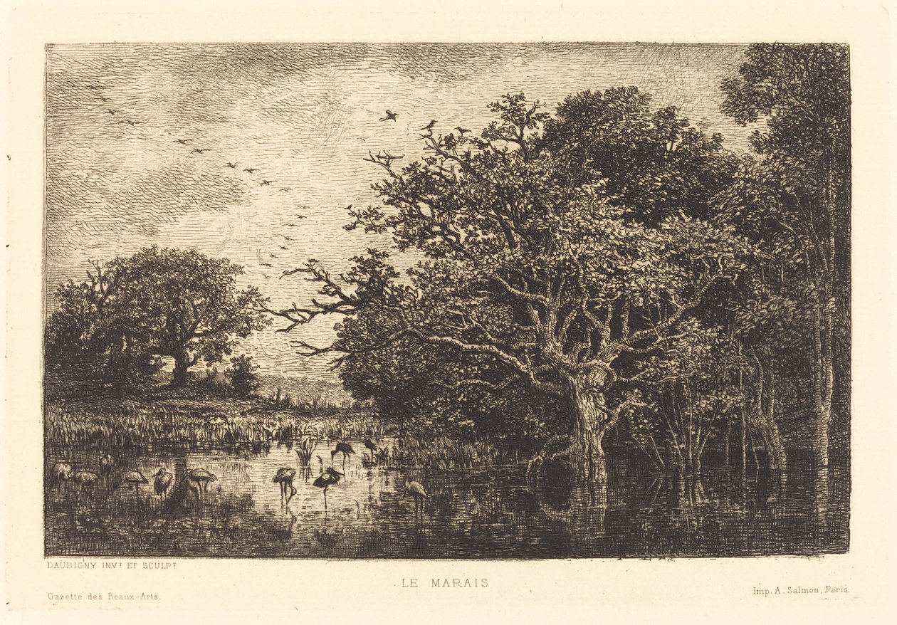 Sumpf (Le Marais) von Charles Francois Daubigny