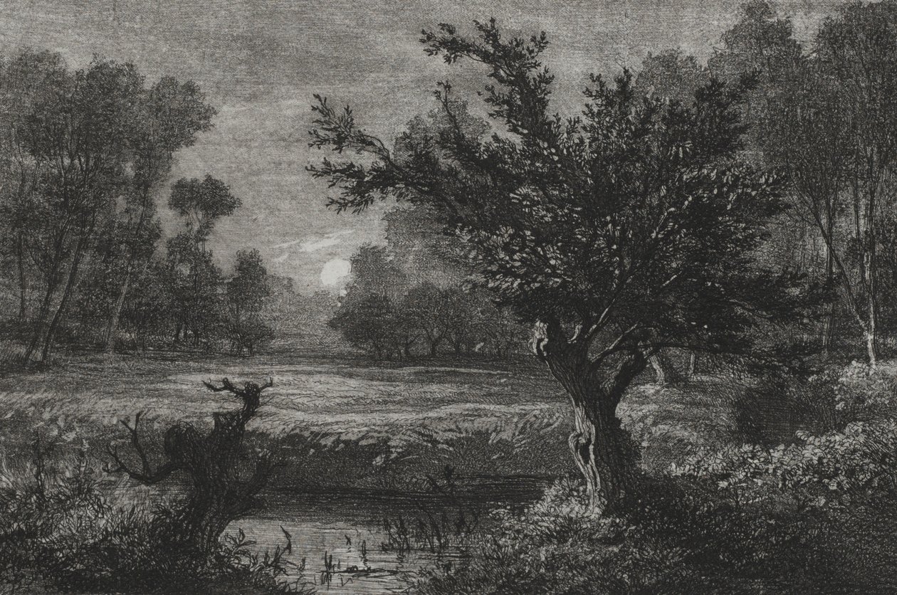 Mondaufgang im Andilly-Tal, 1845 von Charles Francois Daubigny