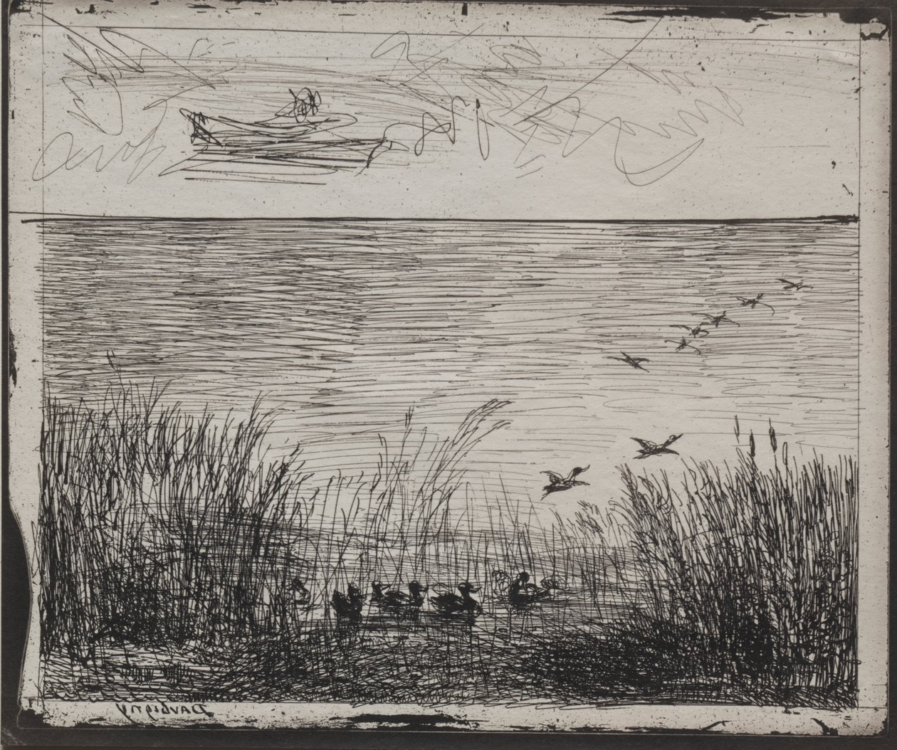 Sumpf mit Enten von Charles Francois Daubigny