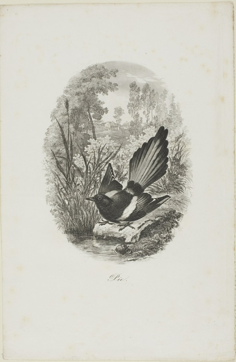 Die Elster von Charles Francois Daubigny