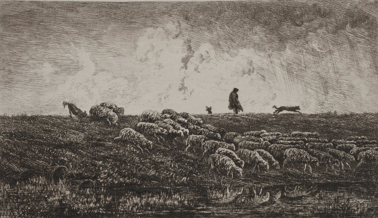 Der Regenschauer von Charles Francois Daubigny