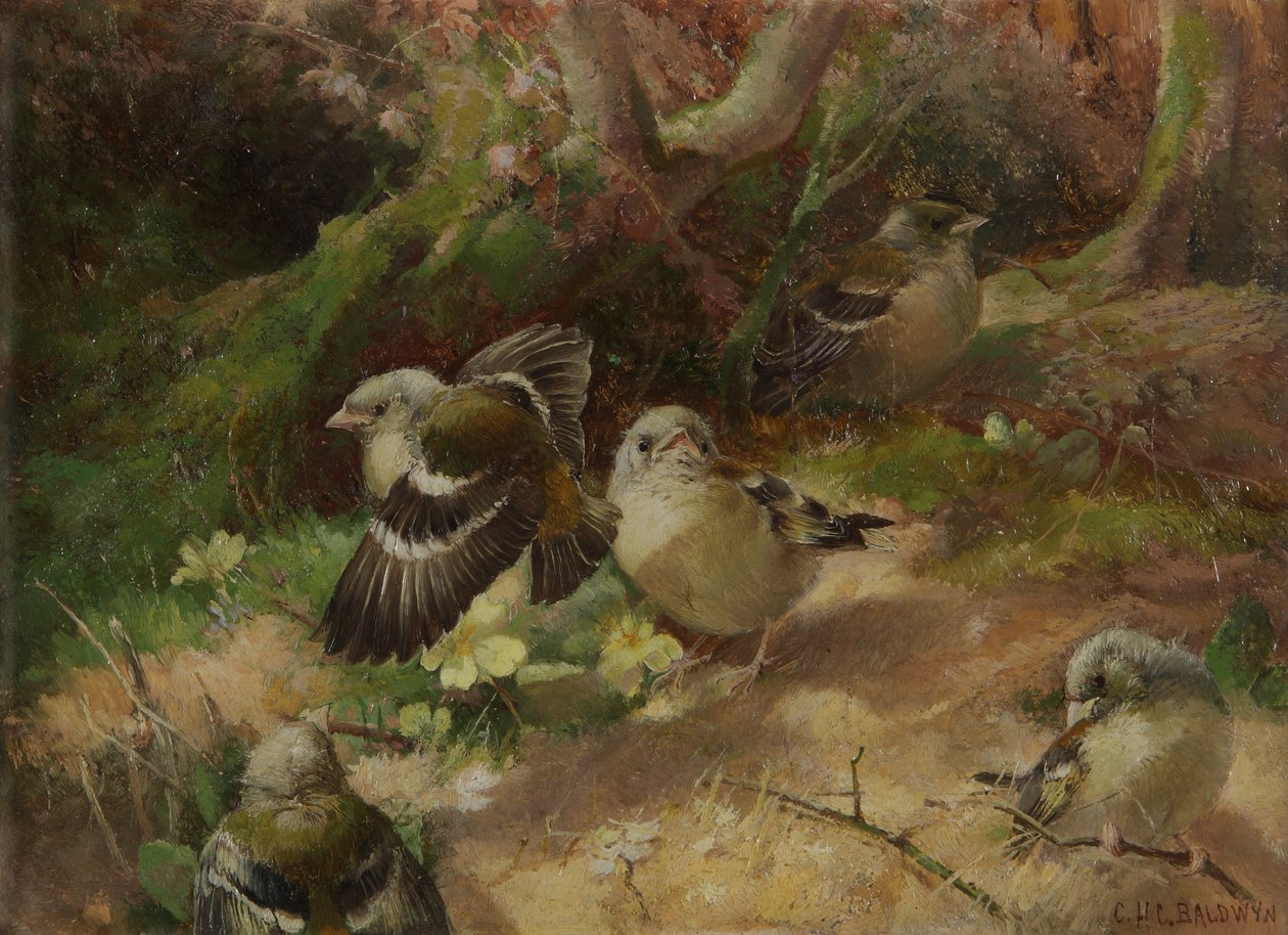 Im glücklichen Wald von Charles Henry Clifford Baldwyn