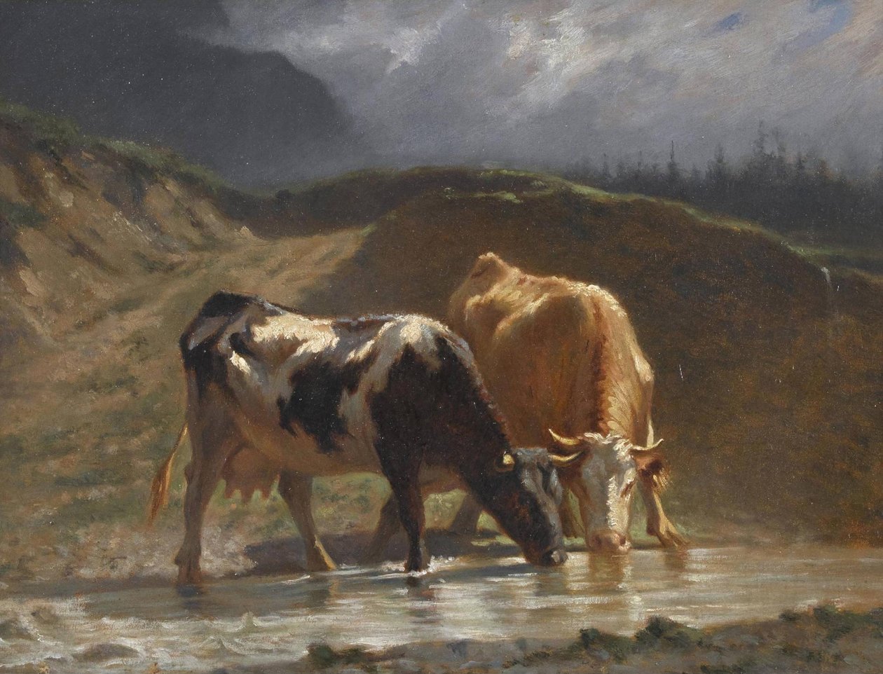 Kühe am Wasser von Charles Humbert