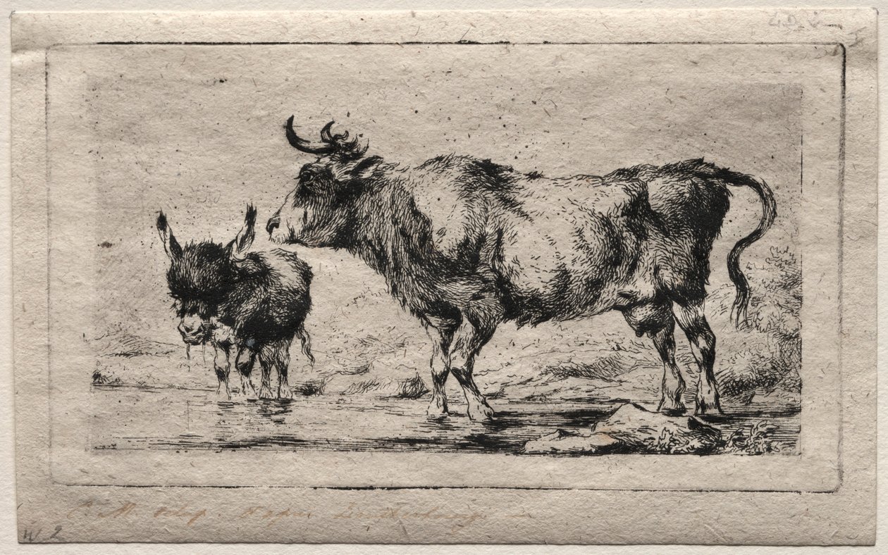Kuh und Esel, 1849 von Charles Meryon