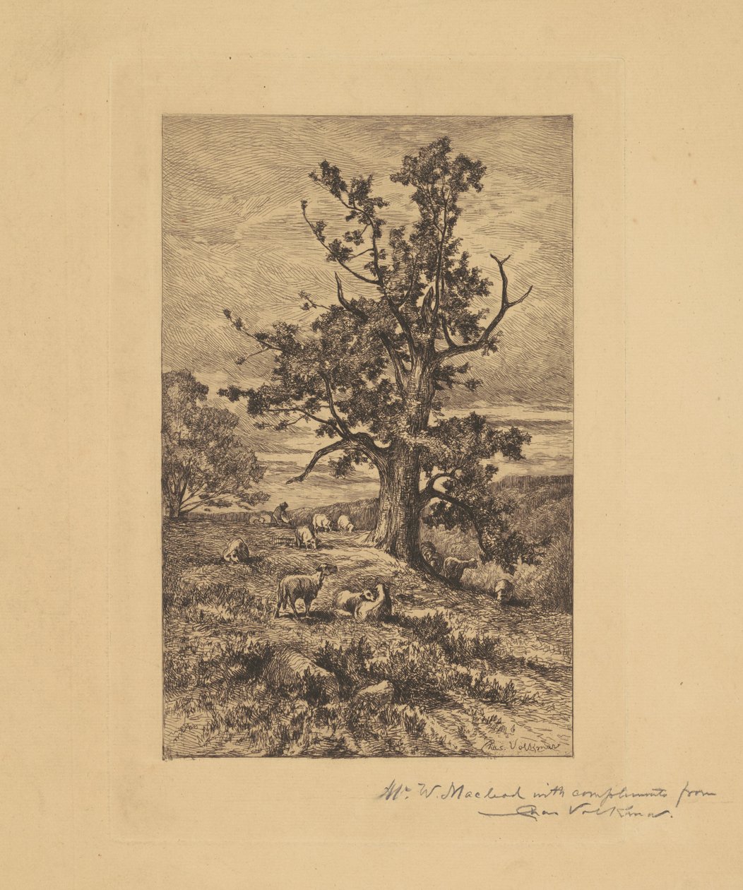 Landschaft mit Schafen von Charles Volkmar