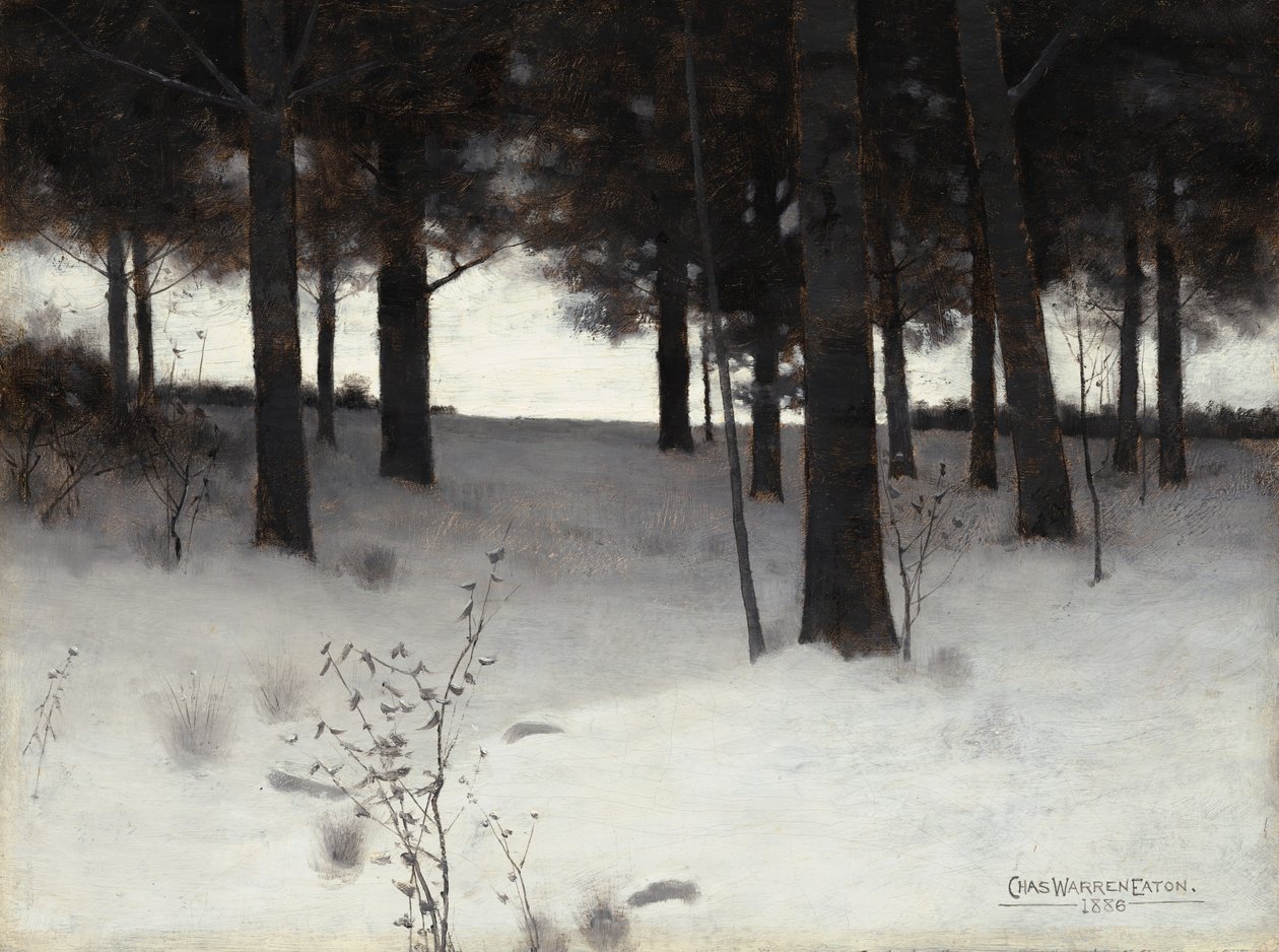 Wald im Winter von Charles Warren Eaton