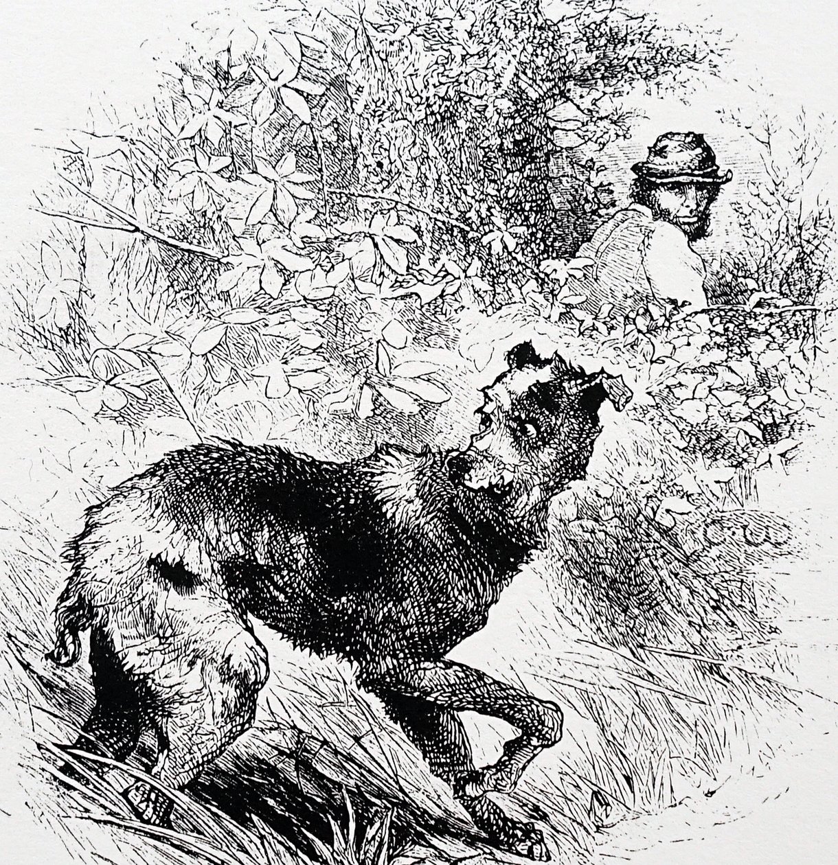 Ein Wilderer mit seinem Lurcher von Charles Whymper