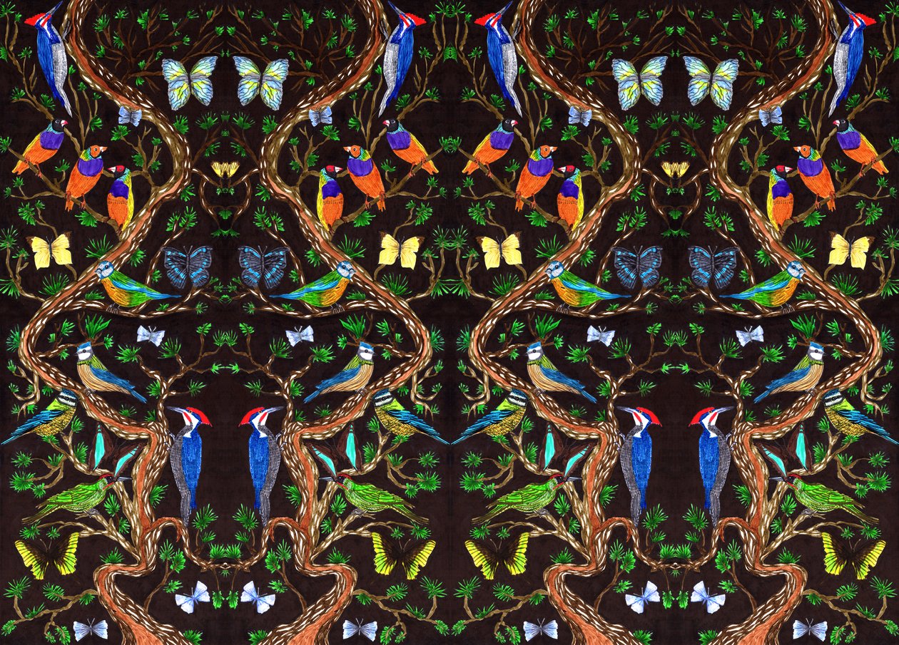 Vögel und Schmetterlinge, 2019 von Charlotte Orr