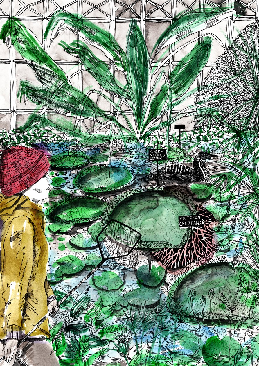 Oxford Botanischer Garten, 2020 von Charlotte Orr