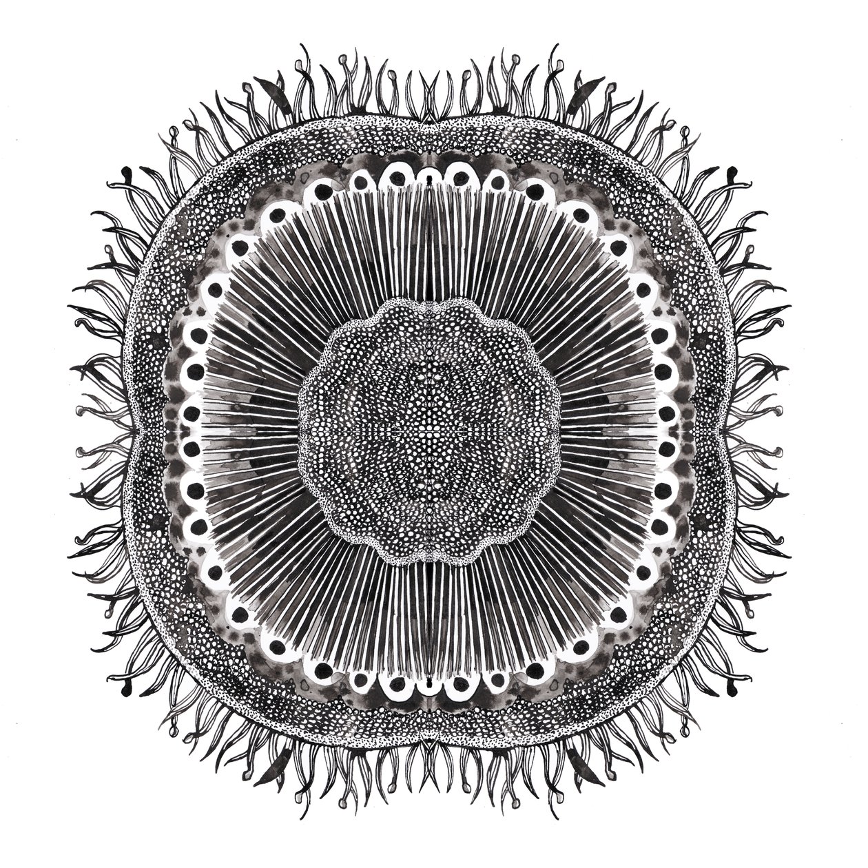 Pflanzenzellen, 2019 von Charlotte Orr