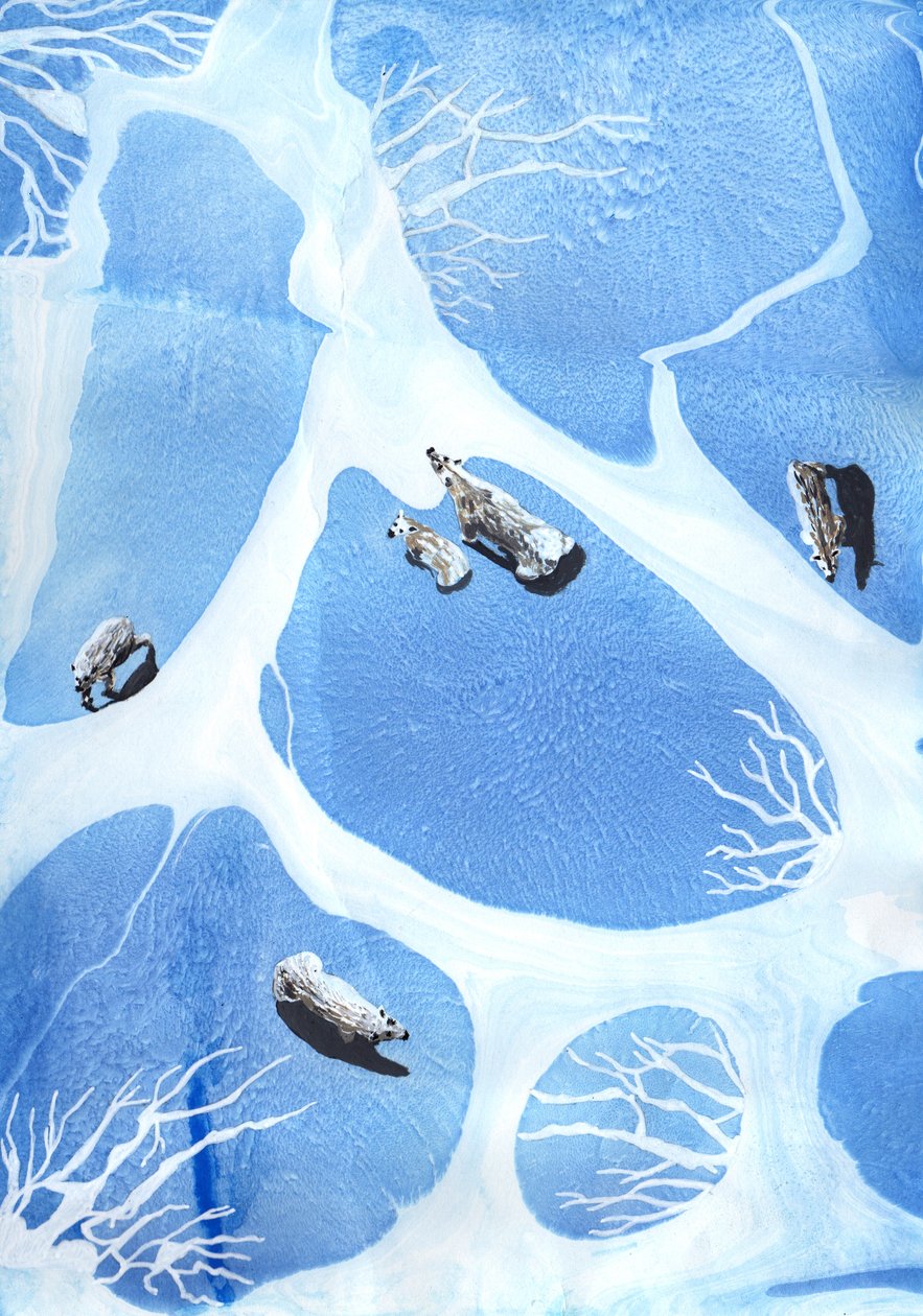 Eisbären von Charlotte Orr