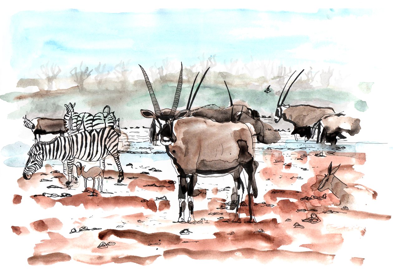 Safari, 2018 von Charlotte Orr