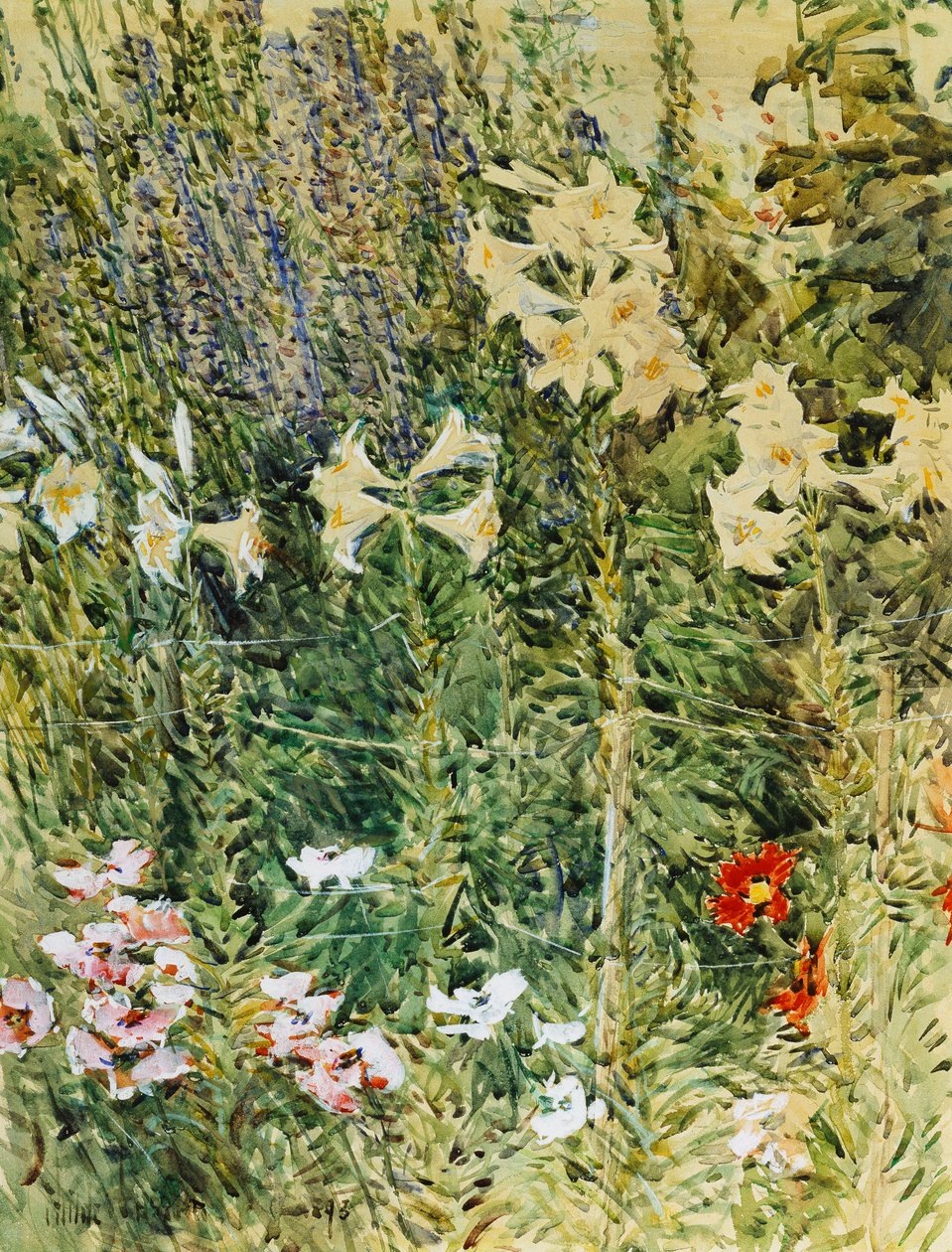 Rittersporn und Lilien von Childe Frederick Hassam