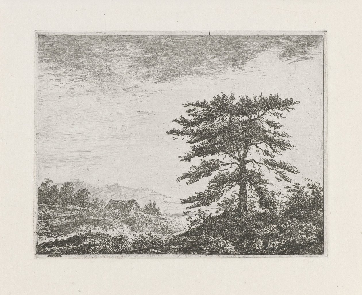 Baum in einer Heidelandschaft von Christiaan Wilhelmus Moorrees