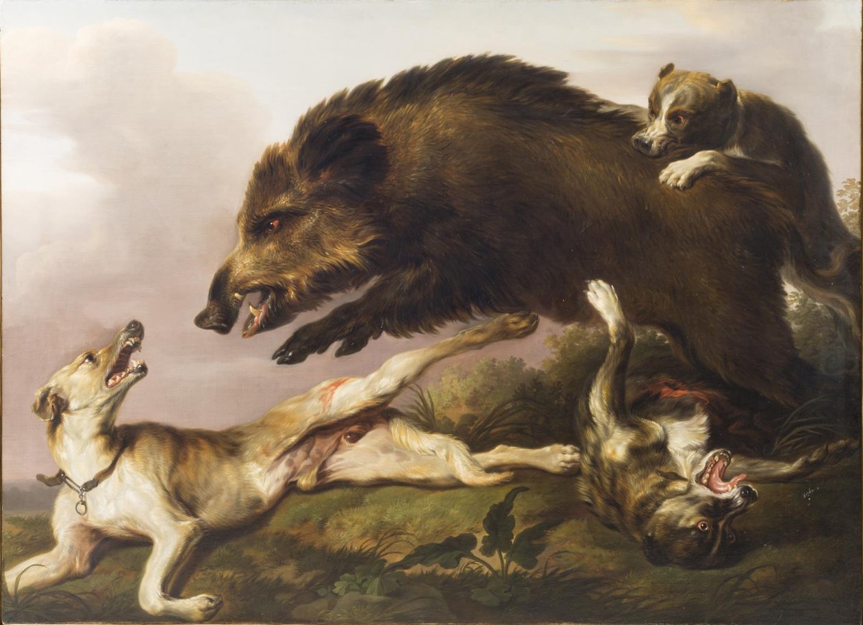 Wildschweinjagd von Christian David Gebauer