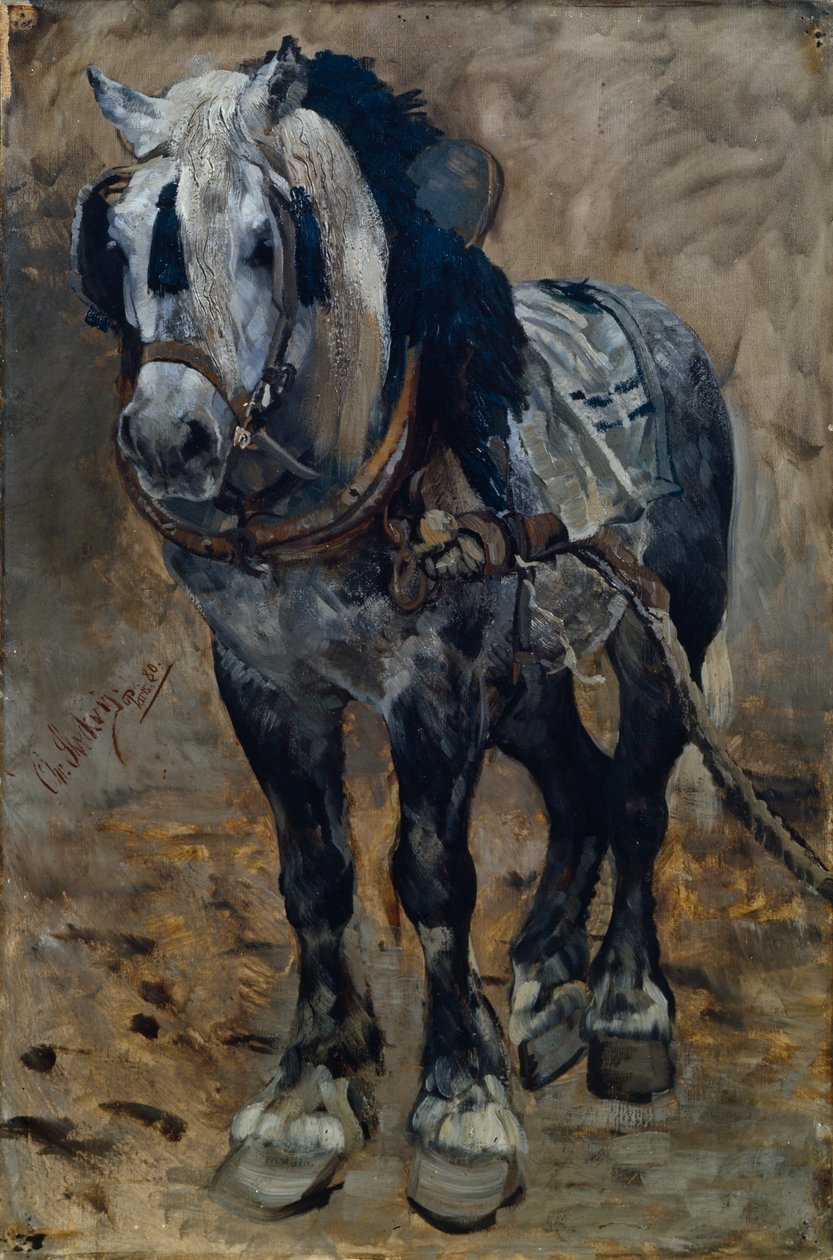 Pferd aus der Normandie von Christian Eriksen Skredsvig