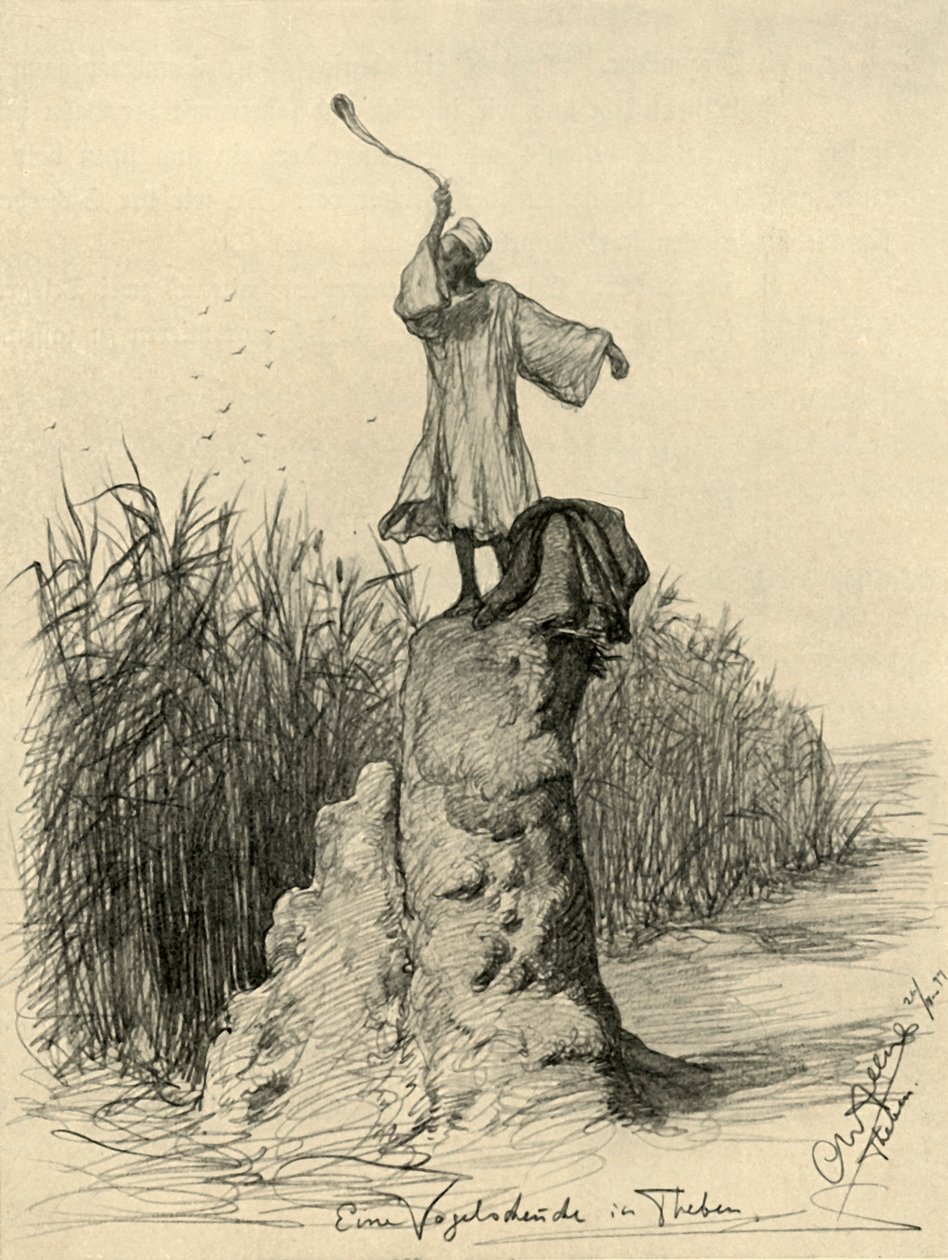 Mann, der Vögel erschreckt, Theben, Ägypten von Christian Wilhelm Allers