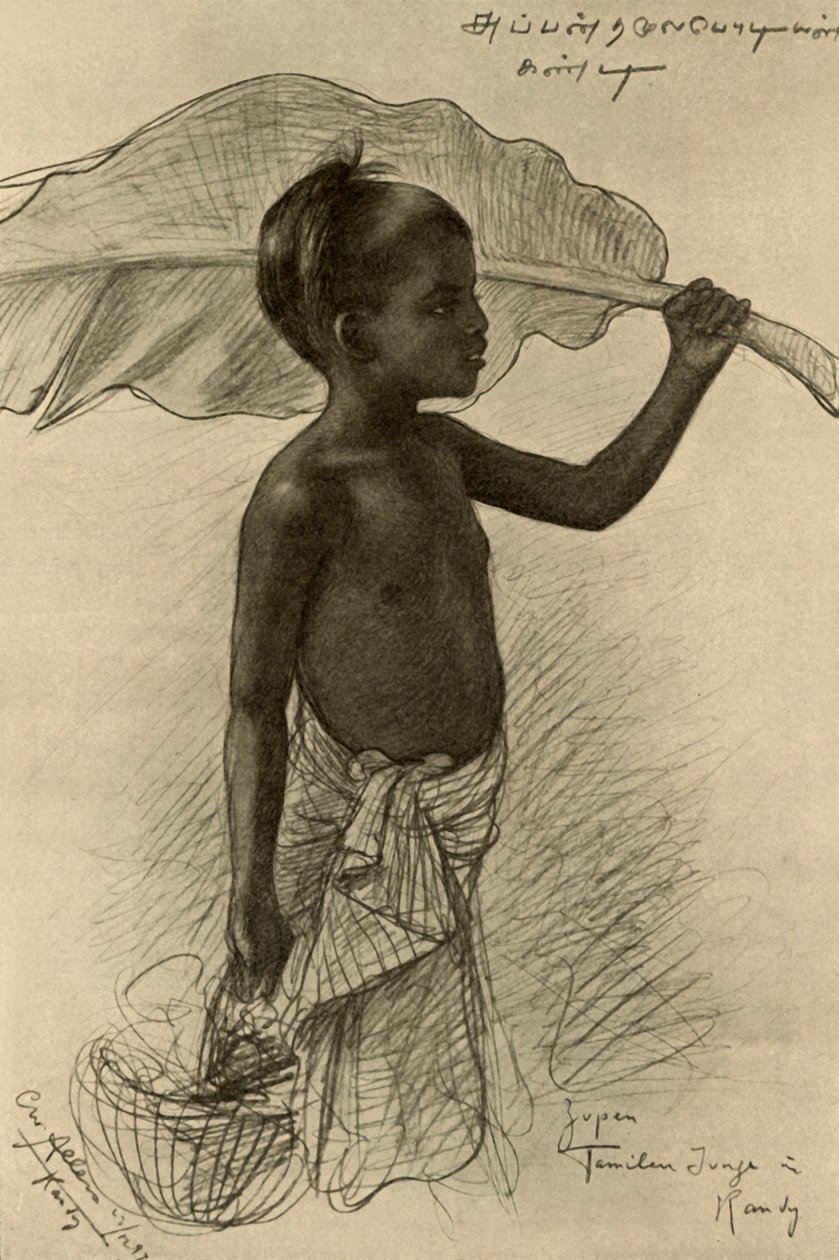 Tamilischer Junge, Kandy, Ceylon von Christian Wilhelm Allers