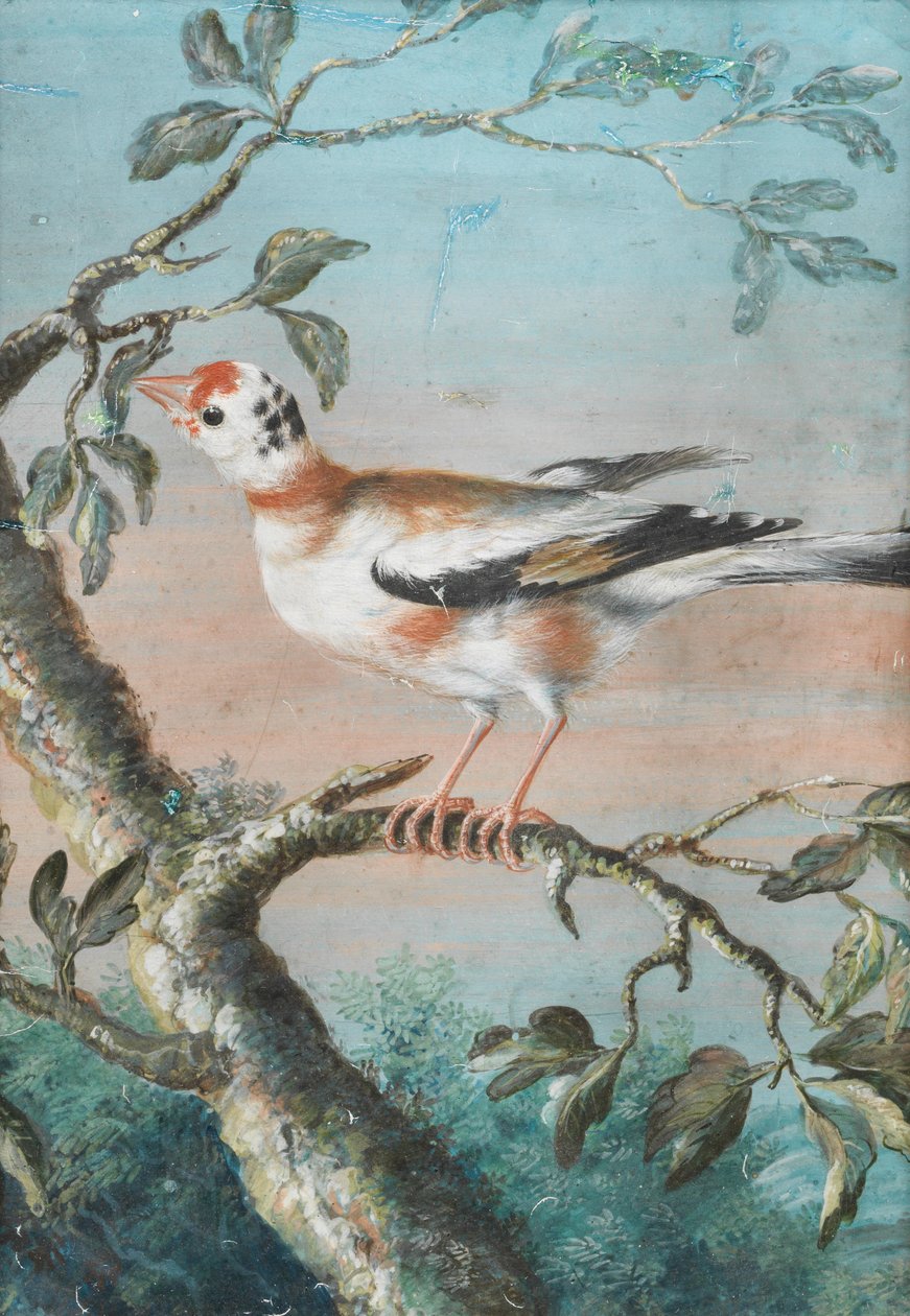 Ein Vogel auf einem Ast von Christoph Ludwig Agricola