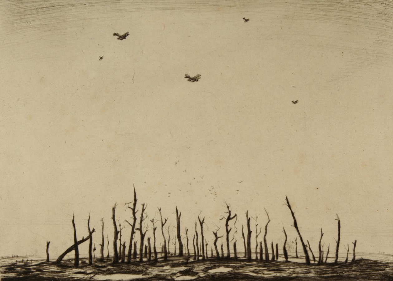 Der verfluchte Wald von Christopher Richard Wynne Nevinson