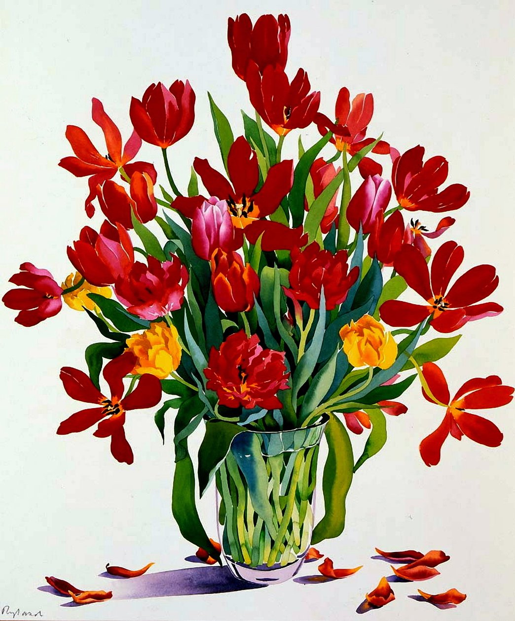 Tulpen von Christopher Ryland