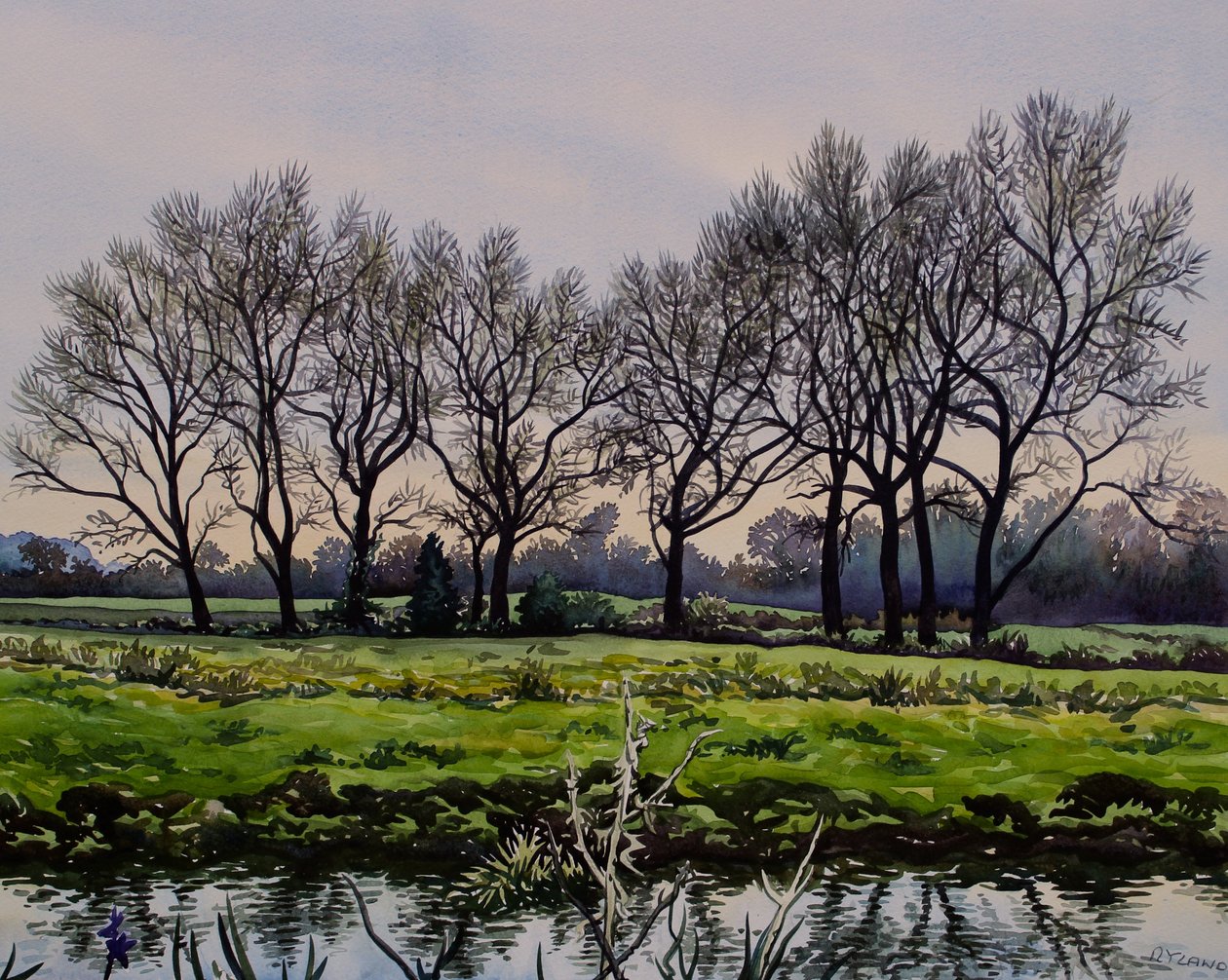 Winterbäume von Christopher Ryland