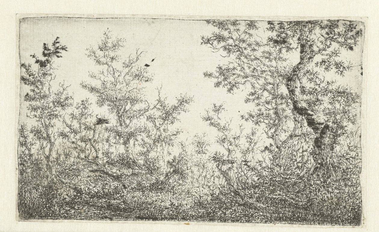 Lichtung im Wald von Claes van Beresteyn
