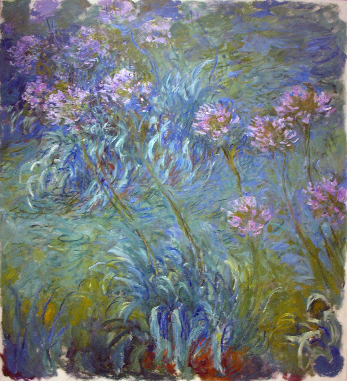 Agapanthus von Claude Monet
