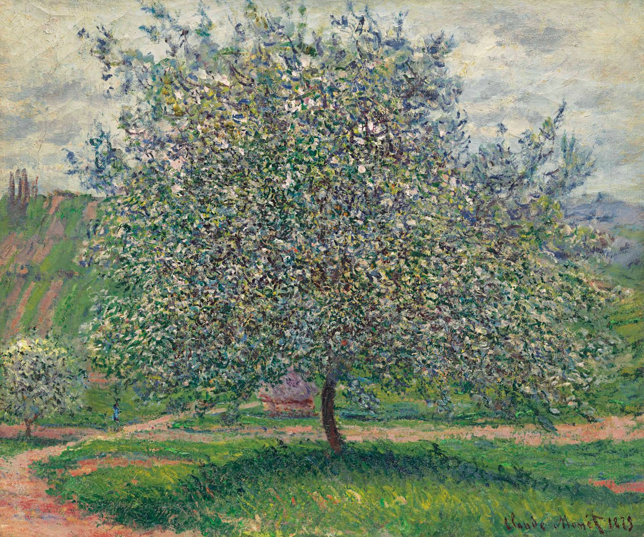 Der Apfelbaum von Claude Monet