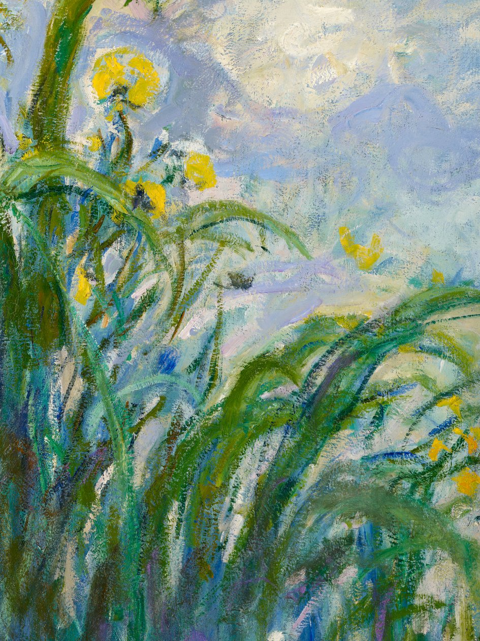 Die gelbe Iris (Detail) von Claude Monet