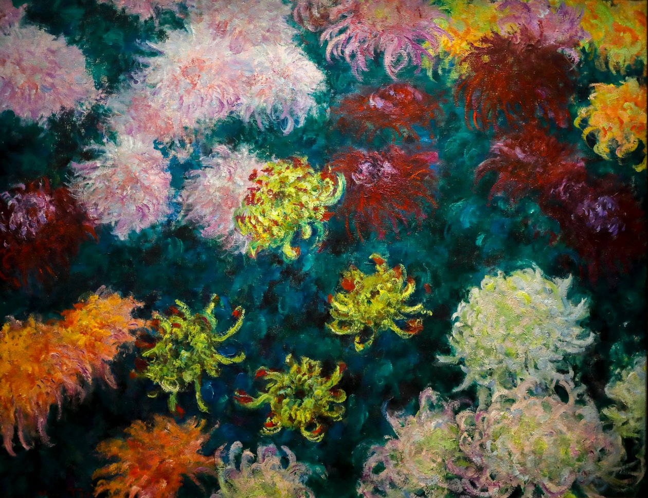 Chrysanthemenbeet von Claude Monet