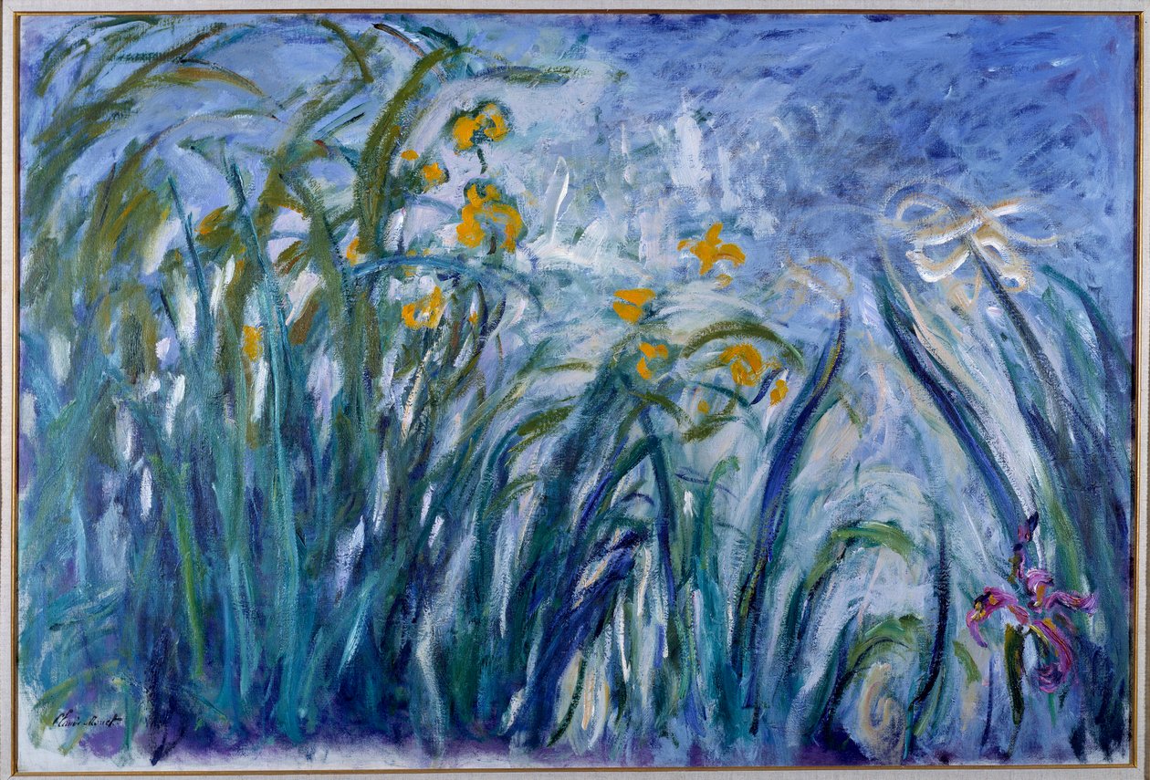 Iris von Claude Monet