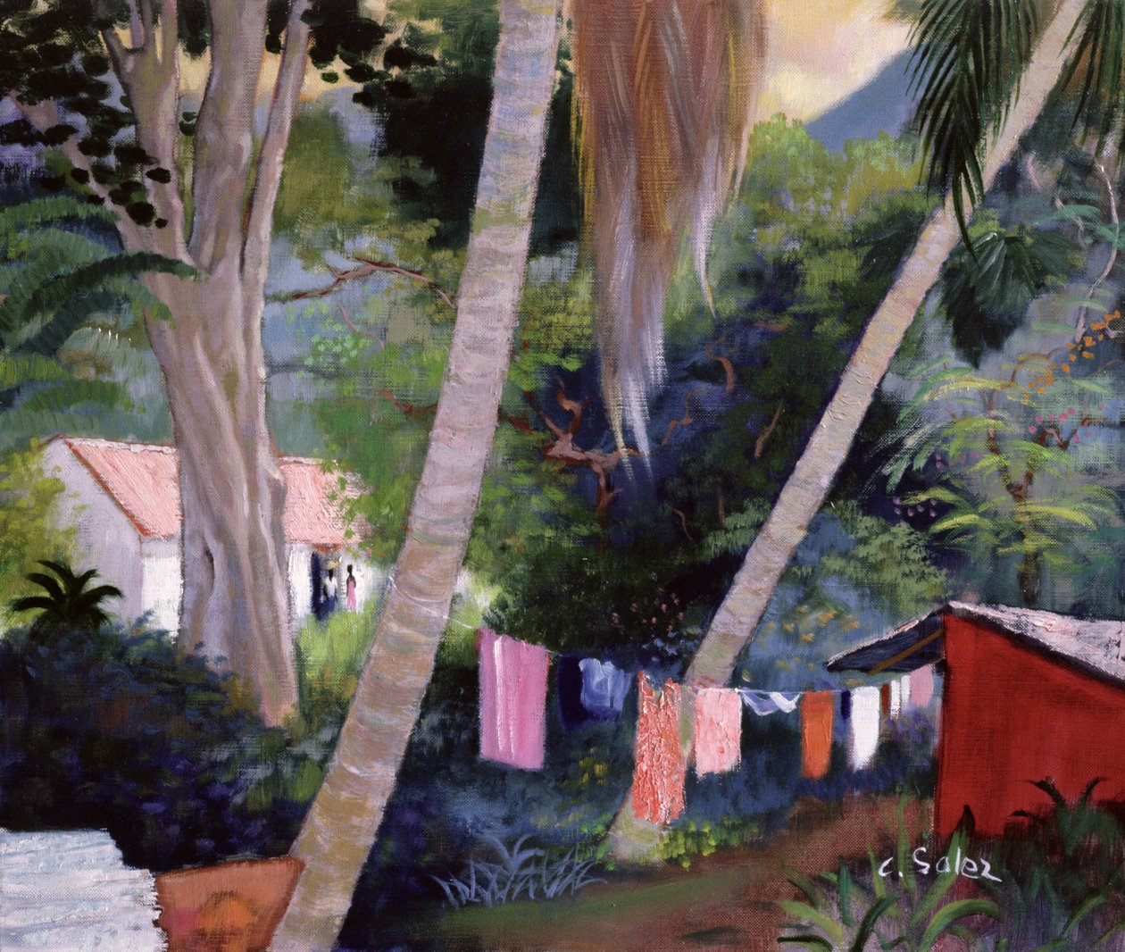 Wäsche trocknen, Guadeloupe von Claude Salez