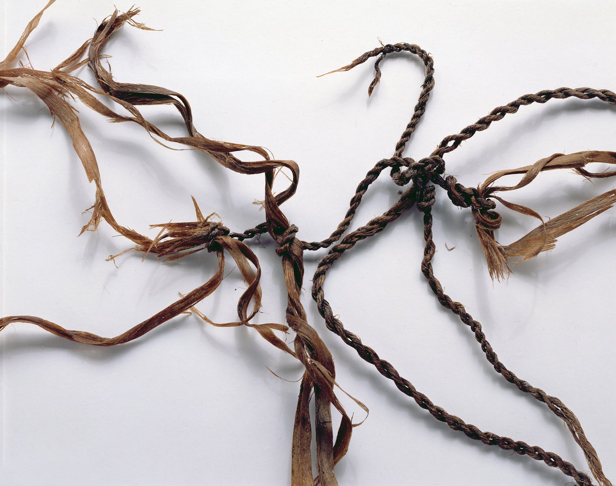 Netz wahrscheinlich zum Vogelfang verwendet, gefunden beim Ötzi (Gras) von Copper Age