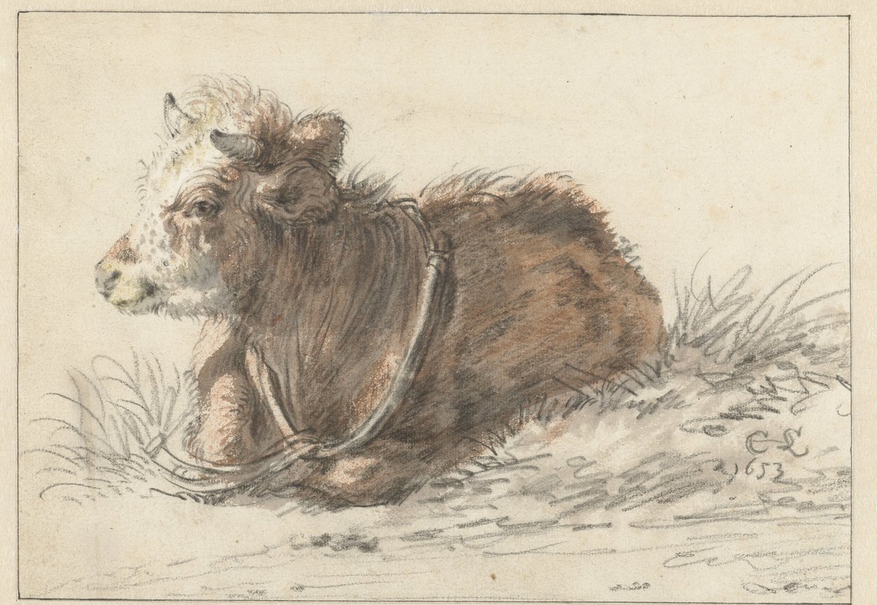 Liegendes Kalb, nach links von Cornelis Saftleven