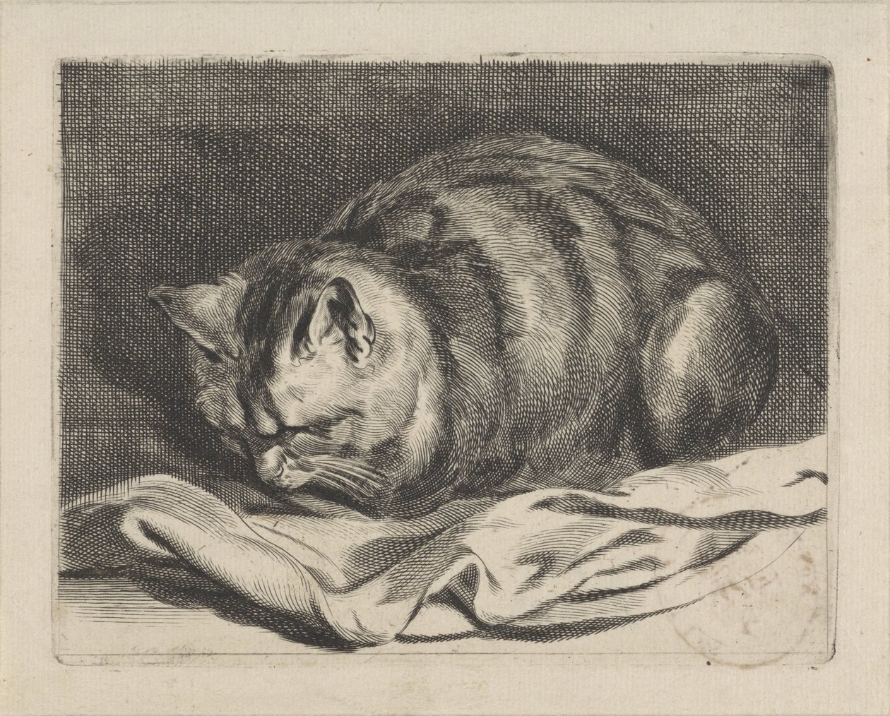 Kleine Katze von Cornelis Visscher (II)