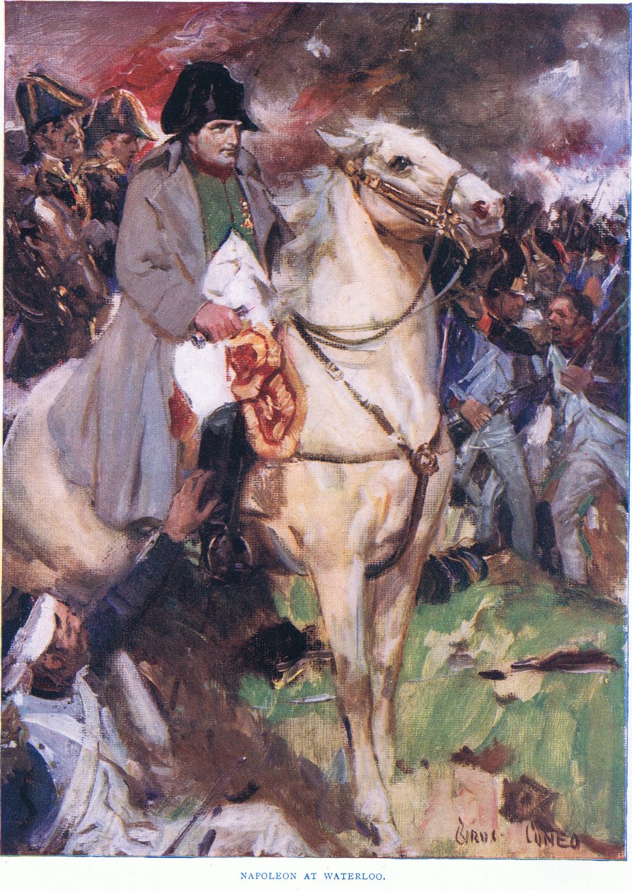 Napoleon bei Waterloo 1815 von Cyrus Cuneo
