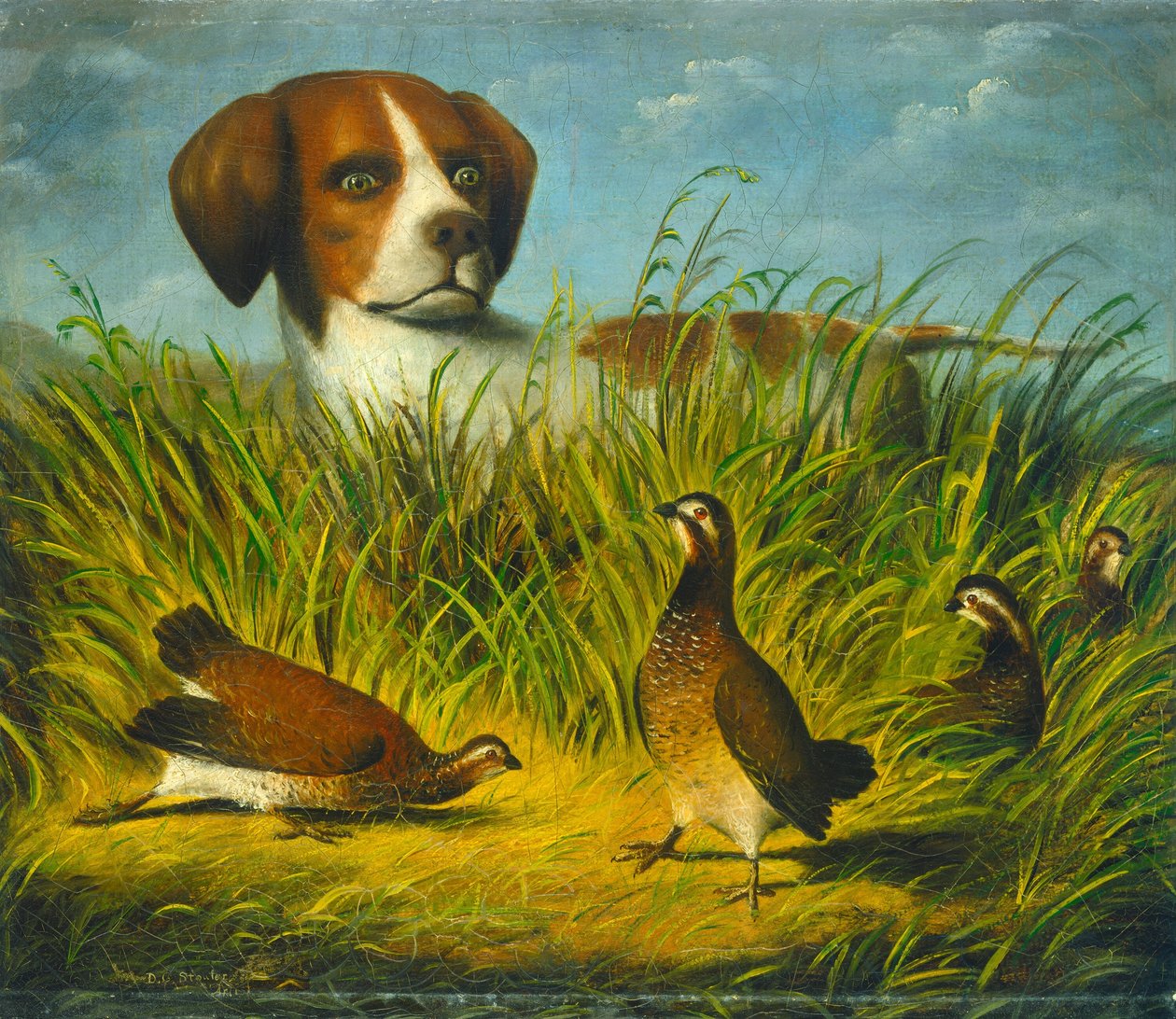 Auf Spitze von D.G. Stouter