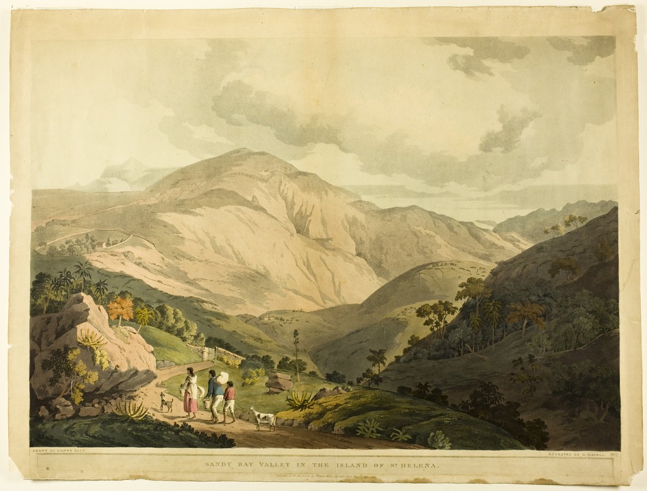Sandy Bay Valley, St. Helena von Daniel Havell